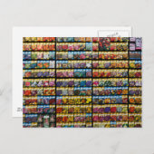 シードパケカラフルットのはがき ポストカード (正面/裏面)