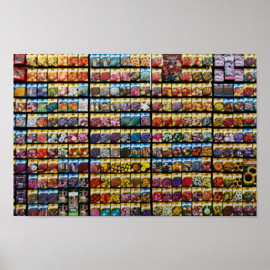 シードパケットポスター ポスター (正面)