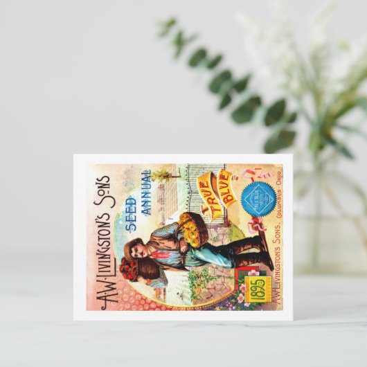 シードパケットポストカード。 ポストカード (スタンド正面)