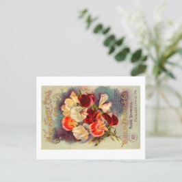 シードパケットポストカード。 ポストカード