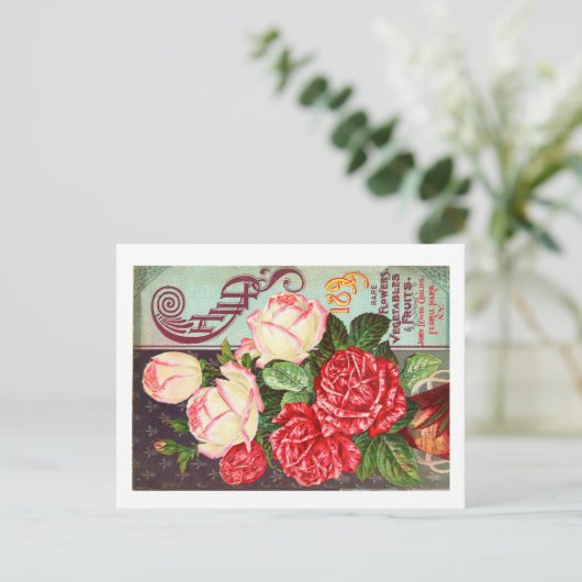 シードパケットポストカード ポストカード (スタンド正面)