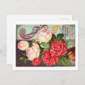 シードパケットポストカード ポストカード (正面/裏面)