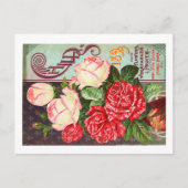 シードパケットポストカード ポストカード (正面)