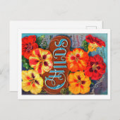 シードパケットポストカード。 ポストカード (正面/裏面)