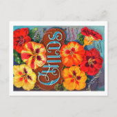 シードパケットポストカード。 ポストカード (正面)