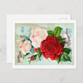 シードパケットポストカード。 ポストカード (正面/裏面)