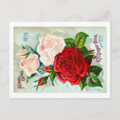 シードパケットポストカード。 ポストカード (正面)