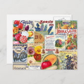 シードパケット ポストカード (正面/裏面)