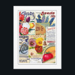 シードパケット ポストカード<br><div class="desc">ヴィンテージシードパケットとカタログのコラージュ。この画像（または他のメディアファイル）は、著作権が期限切れのため、パブリックドメイン内にある。</div>