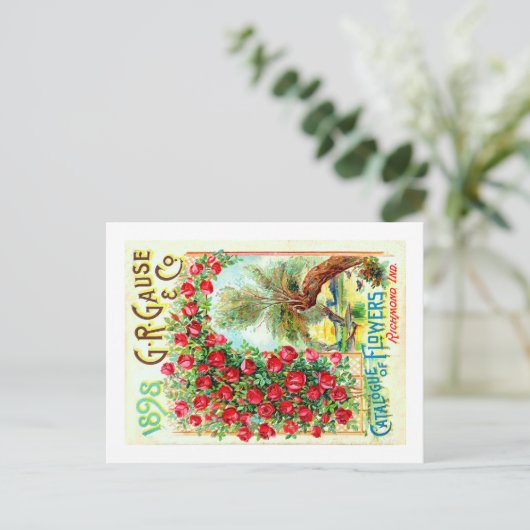 シードパケット。 ポストカード (スタンド正面)