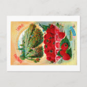 シードパケット。 ポストカード (正面)