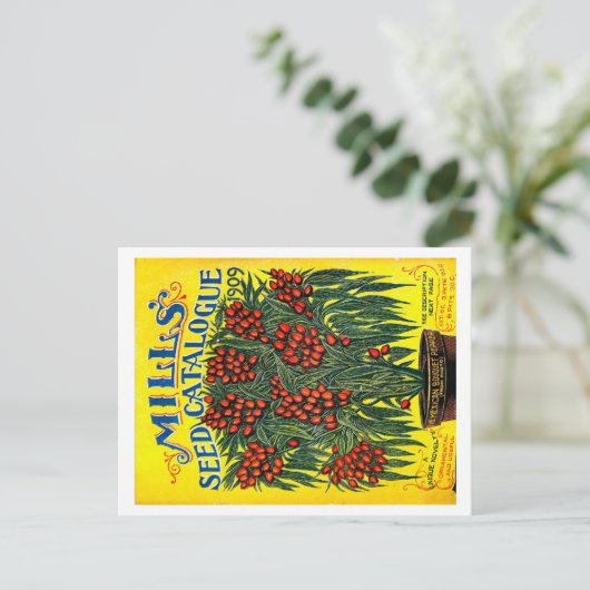 シードパケット。 ポストカード (スタンド正面)