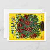 シードパケット。 ポストカード (正面/裏面)