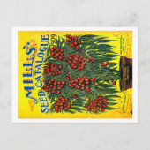 シードパケット。 ポストカード (正面)