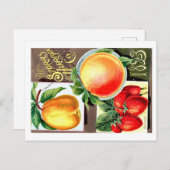 シードパケット。 ポストカード (正面/裏面)