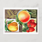 シードパケット。 ポストカード (正面)