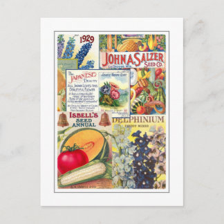 シードパケット ポストカード