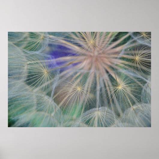 シードヘッドデザイン |アイダホ州,ジェネセ ポスター (正面)