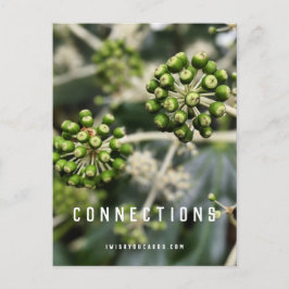 シードポッド – マニフェストつながりポストカード ポストカード