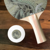 シードラゴン 卓球ラケット