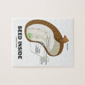 シード内部(Dicotyledon Beanシード解剖学) ジグソーパズル (横)