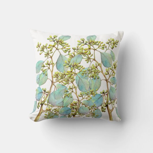 シード済ユーカリ01 クッション (正面)