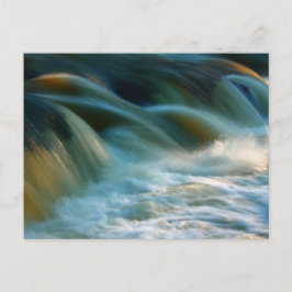 シーナース秋 ポストカード