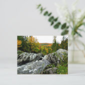 シーニックケベック ポストカード (スタンド正面)