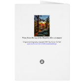 シーニックサンセットビュー/パインツリーズ/モゴロンリムAZ (裏面)