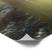 シーニックビーチ州パーク ポスター (角)