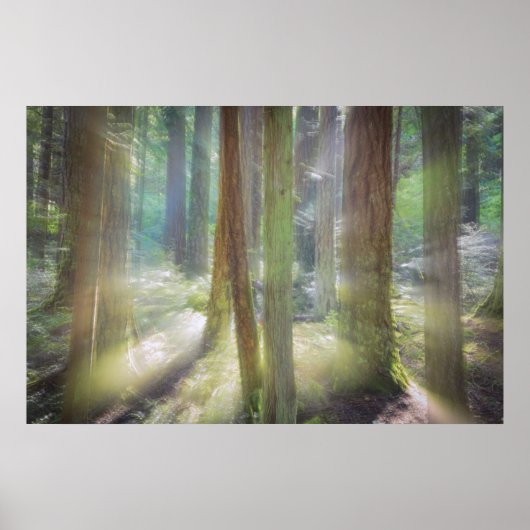 シーニックビーチ州パーク ポスター (正面)