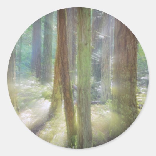 シーニックビーチ州パーク ラウンドシール (正面)