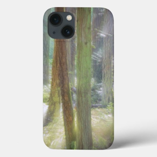 シーニックビーチ州パーク Case-Mate iPhoneケース (裏面)