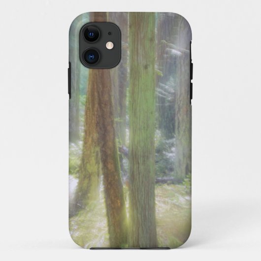 シーニックビーチ州立公園 Case-Mate iPhoneケース (裏面)