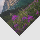 シーニックルパンメドウマウンテンマジェスティ 薄葉紙 (詳細)