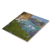 シーニック·マクウェイ·滝がビーチに転落し タイル (側面)