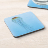 シーネトル コースター (左側)