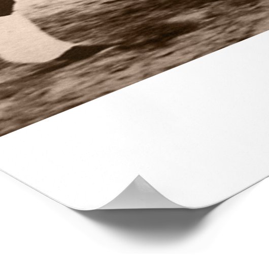 シーバチ ポスター (角)