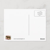 シービスケット – サラブレッド・レーシング伝説 ポストカード (裏面)