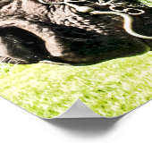 シービスケット ポスター (角)