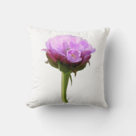 シーピンク、ピンクの花、白い背景 クッション