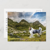 シーファイディングブルーメルレラフコリー – コレクタブル ポストカード (正面/裏面)