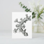 シーファン ポストカード (スタンド正面)