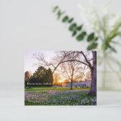 シーフィールドの植物園 ポストカード (スタンド正面)