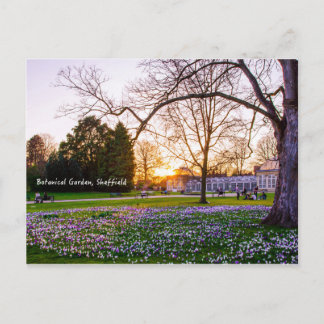 シーフィールドの植物園 ポストカード