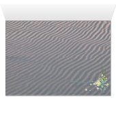 シーフォーム (内部横(下))