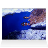 シーフォーム (内部横(上))