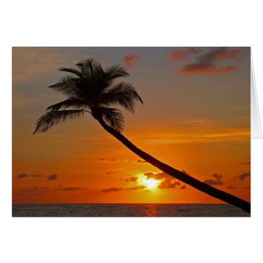 シーフォーム (正面横)