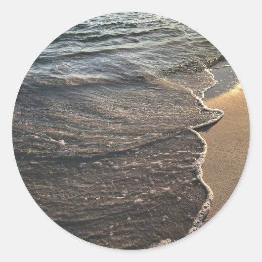 シーフォーム ラウンドシール (正面)