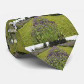 シーフオムラベンダーファーム ネクタイ (ロール)